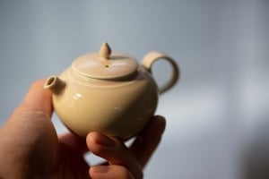 1001 Teapots - Teapot #283
