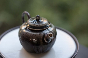 1001 Teapots - Teapot #295