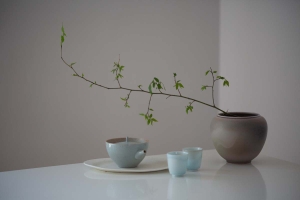 blue-moon-houhin-gaiwan-1