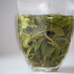 Hulk Spring 2021 Simao Green Tea