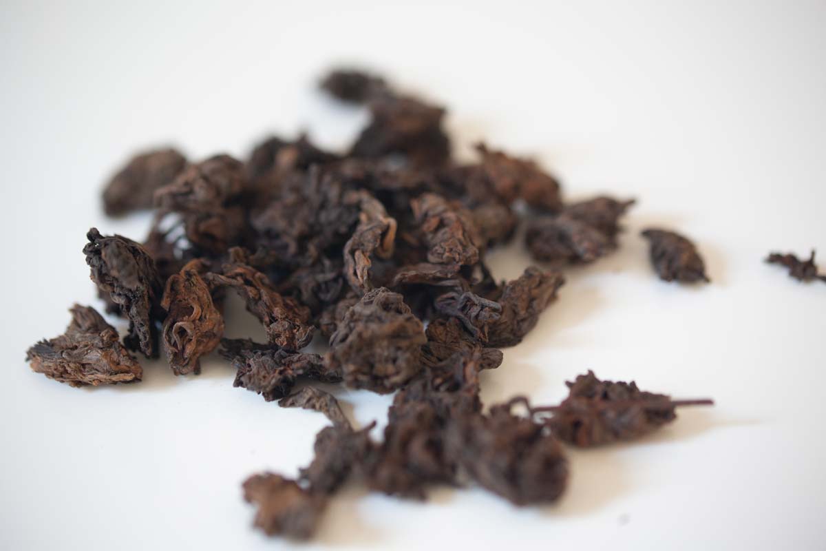 golden nugget premium shou puer laochatou 3 | BITTERLEAF TEAS golden nugget premium shou puer laochatou 3 | BITTERLEAF TEAS