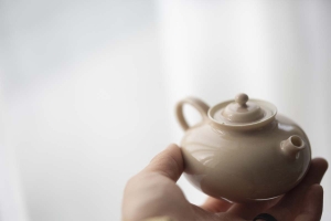 1001 Teapots - Mini Teapot #298