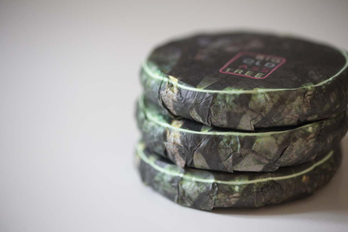 big old ass tree 2021 spring hekai raw puer puerh 4 | BITTERLEAF TEAS