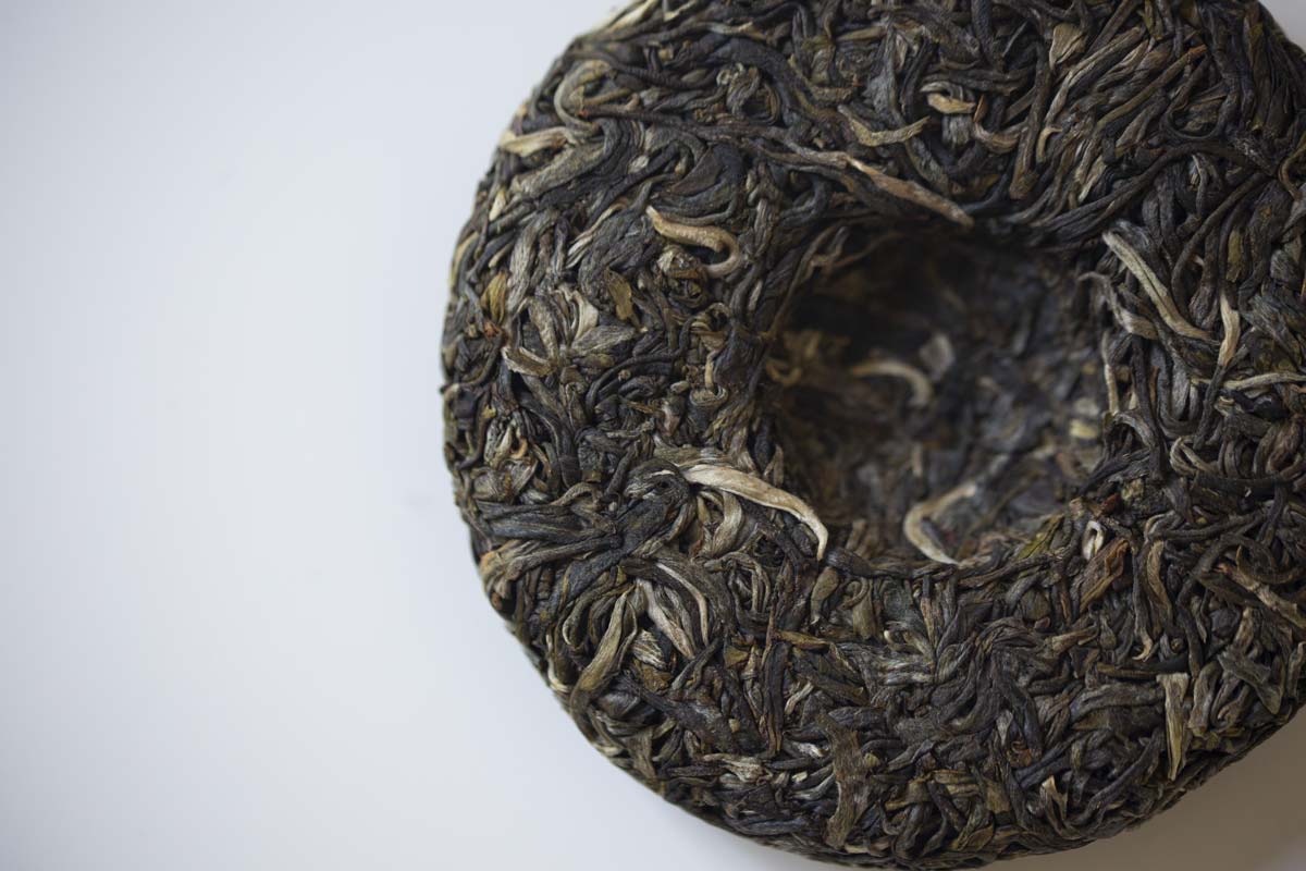 big old ass tree 2021 spring hekai raw puer puerh 5 | BITTERLEAF TEAS