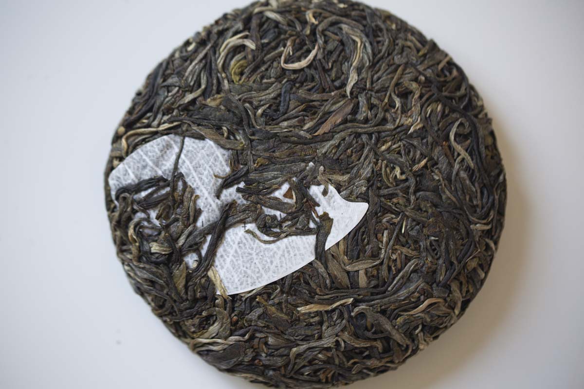 big old ass tree 2021 spring hekai raw puer puerh 6 | BITTERLEAF TEAS