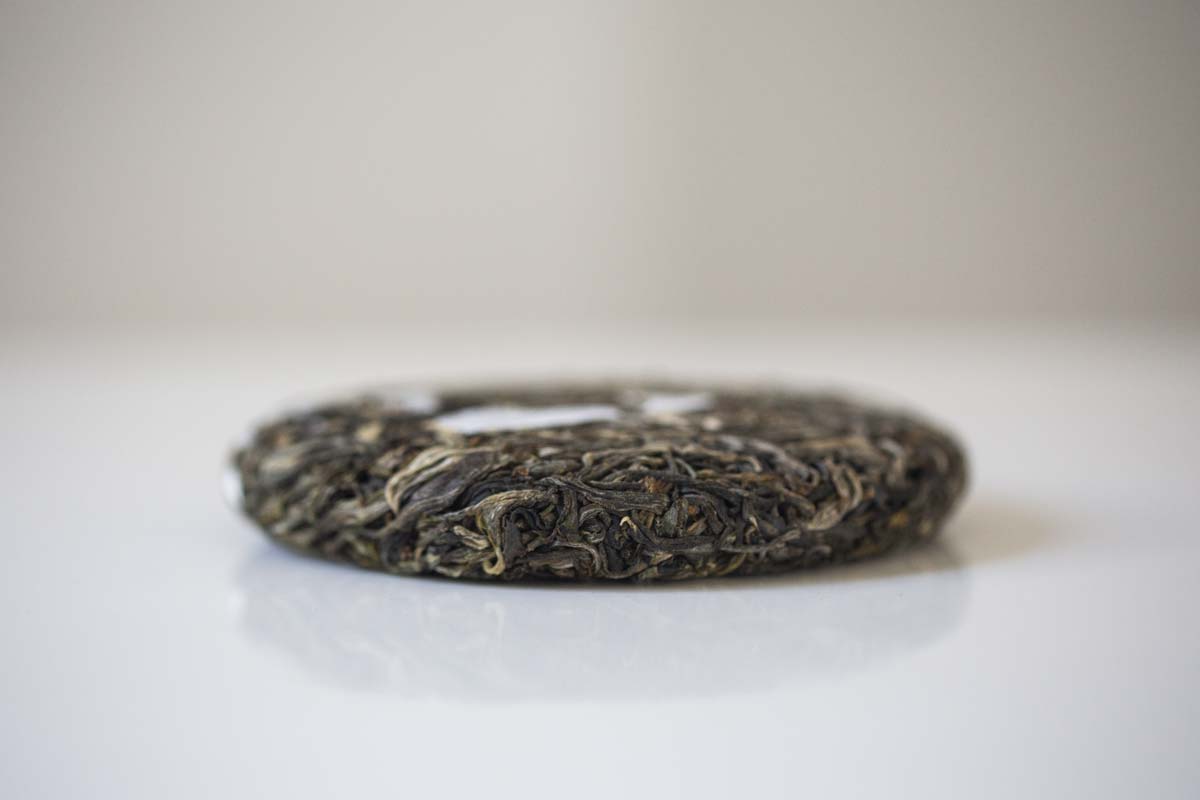 big old ass tree 2021 spring hekai raw puer puerh 7 | BITTERLEAF TEAS