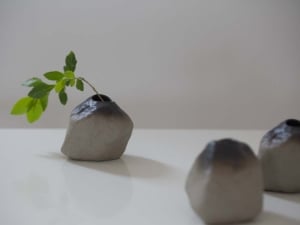 little rock vase 7 | BITTERLEAF TEAS
