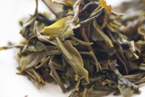 of-course-i-still-love-you-2021-spring-mansa-raw-puer-puerh-10