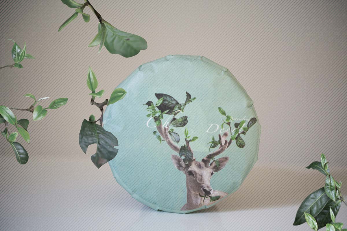 Bitterleaf Teaware Giveaway