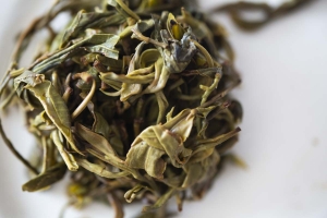 oh-deer-2021-spring-kunlu-raw-puer-puerh-10
