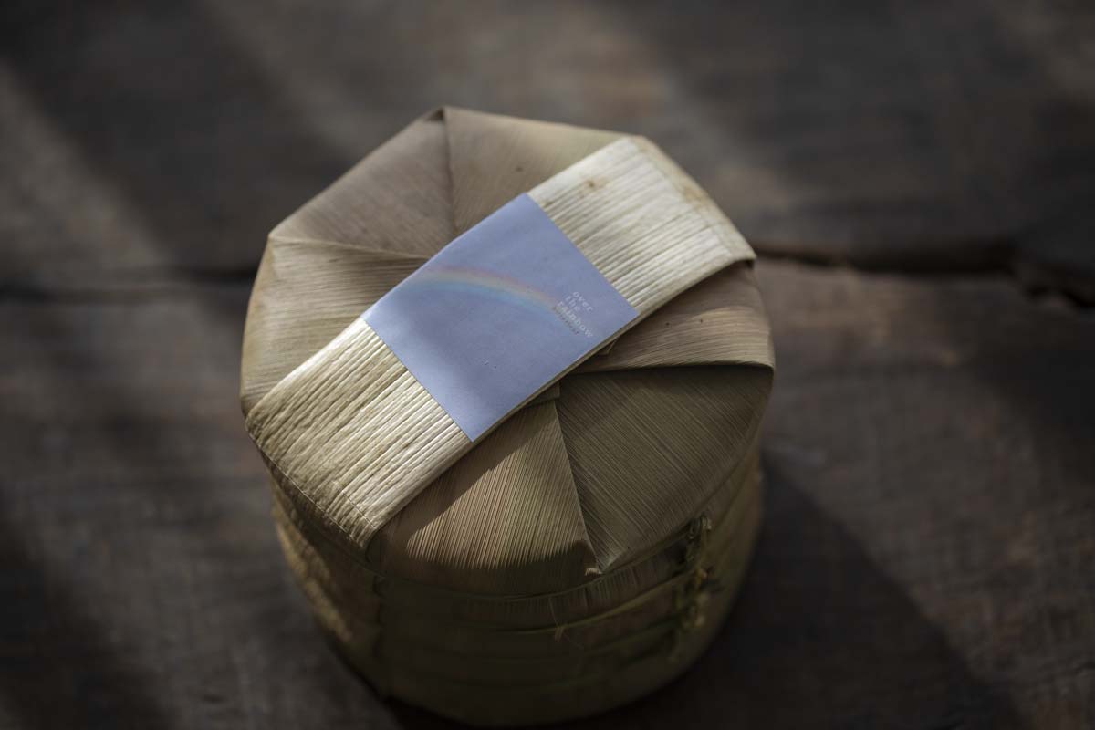 over the rainbow 2021 spring lincang raw puer puerh 12 | BITTERLEAF TEAS