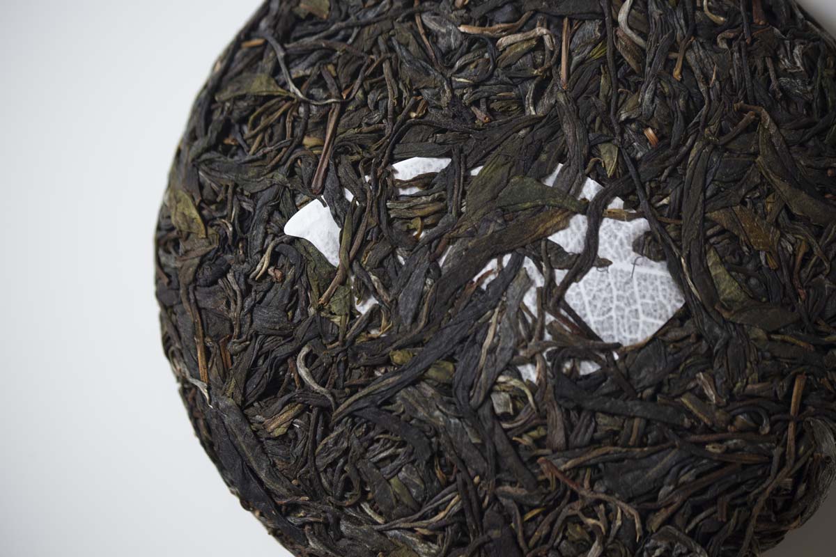 over the rainbow 2021 spring lincang raw puer puerh 7 | BITTERLEAF TEAS