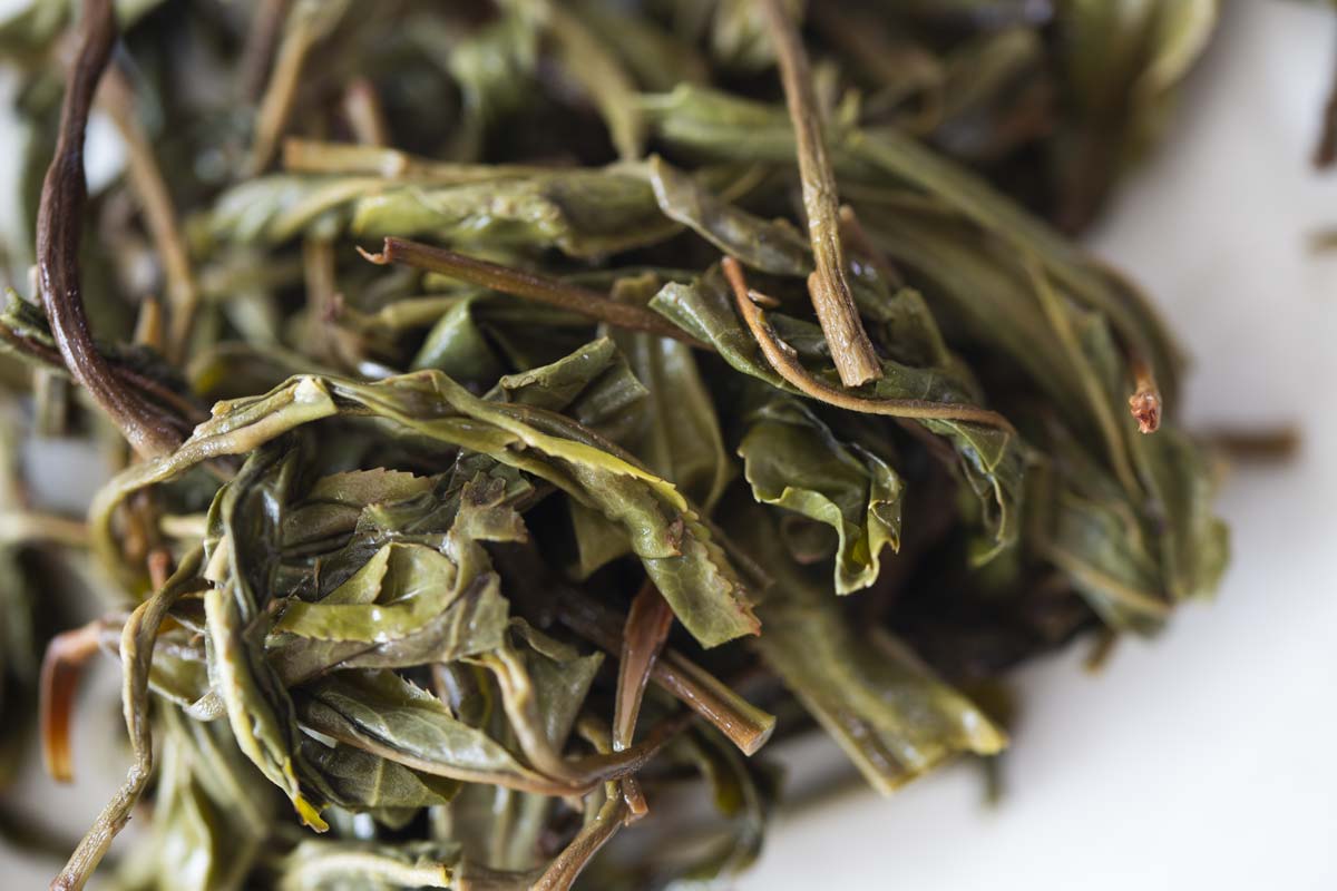over the rainbow 2021 spring lincang raw puer puerh 9 | BITTERLEAF TEAS