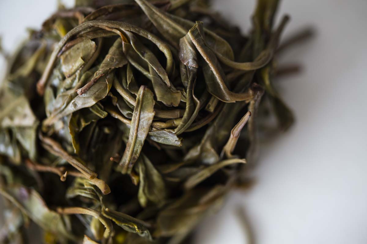 plum beauty 2021 spring mengsong raw puer puerh 10 | BITTERLEAF TEAS plum beauty 2021 spring mengsong raw puer puerh 10 | BITTERLEAF TEAS