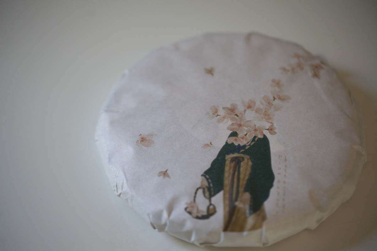 plum beauty 2021 spring mengsong raw puer puerh 2 | BITTERLEAF TEAS plum beauty 2021 spring mengsong raw puer puerh 2 | BITTERLEAF TEAS