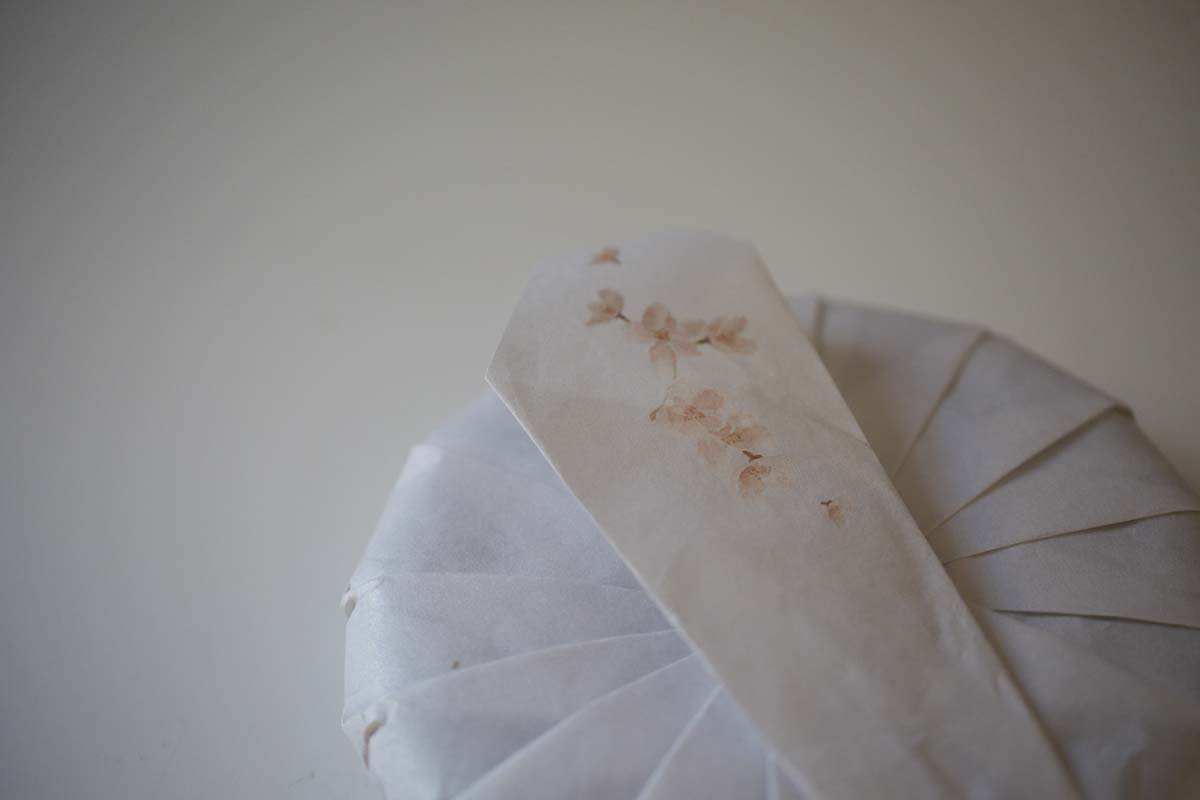 plum beauty 2021 spring mengsong raw puer puerh 3 | BITTERLEAF TEAS plum beauty 2021 spring mengsong raw puer puerh 3 | BITTERLEAF TEAS
