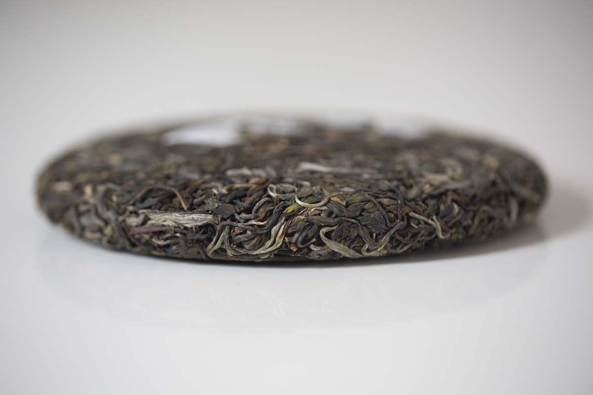 plum beauty 2021 spring mengsong raw puer puerh 8 | BITTERLEAF TEAS plum beauty 2021 spring mengsong raw puer puerh 8 | BITTERLEAF TEAS