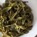 Slow Burn 2021 Baiying Shan Raw Puer