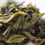 Slow Burn 2021 Baiying Shan Raw Puer