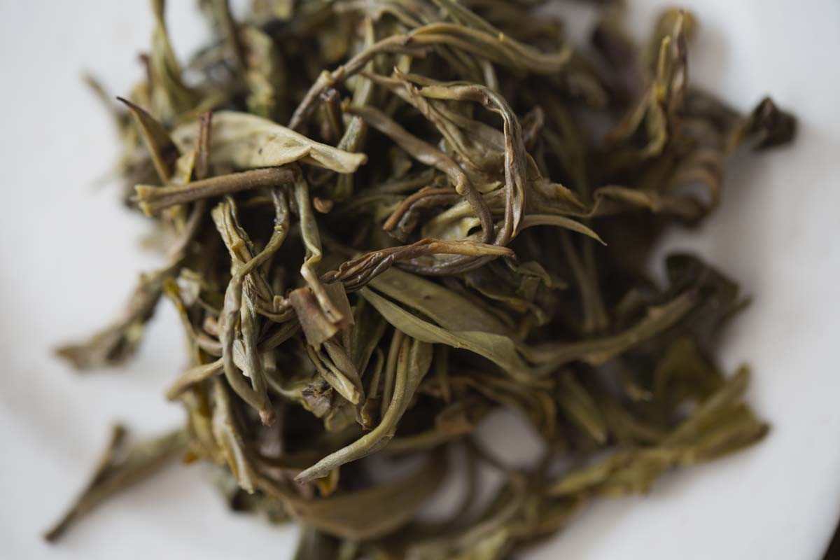 straight no chaser 2021 spring bulang raw puer puerh 10 | BITTERLEAF TEAS straight no chaser 2021 spring bulang raw puer puerh 10 | BITTERLEAF TEAS