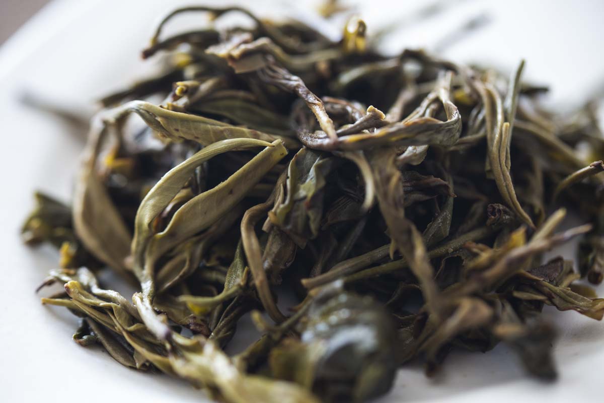 straight no chaser 2021 spring bulang raw puer puerh 11 | BITTERLEAF TEAS straight no chaser 2021 spring bulang raw puer puerh 11 | BITTERLEAF TEAS