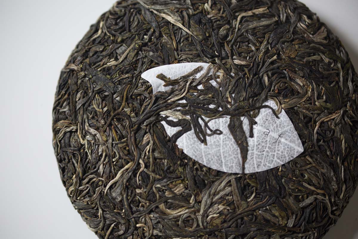 straight no chaser 2021 spring bulang raw puer puerh 7 | BITTERLEAF TEAS straight no chaser 2021 spring bulang raw puer puerh 7 | BITTERLEAF TEAS