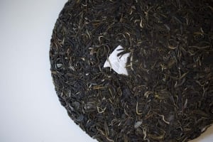 year-of-the-bull-2021-spring-yiwu-raw-puer-puerh-6
