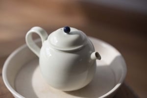 1001 Teapots - Teapot #311