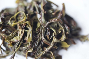 duck-yeah-2021-yashixiang-dancong-oolong-4-4