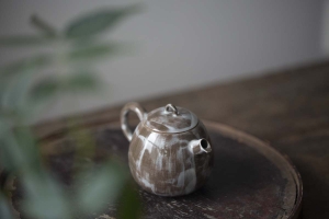 1001 Teapots - Teapot #323