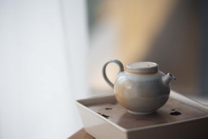 1001 Teapots - Teapot #324