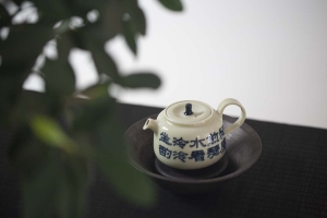 1001 Teapots - Teapot #328