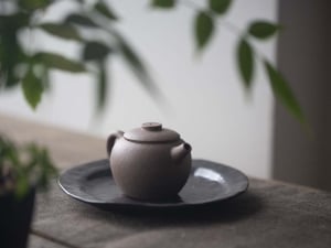 yixing duanni mini julunzhu teapot 1 | BITTERLEAF TEAS
