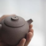 Mini Julunzhu Lao Duanni Yixing Teapot