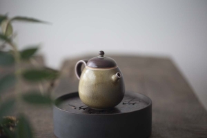 1001 Teapots - Teapot #333