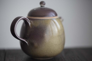 1001 Teapots - Teapot #333