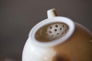 1001 Teapots - Teapot #335