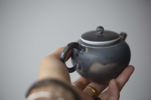 1001 Teapots - Teapot #336