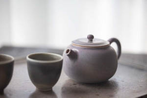1001 Teapots - Teapot #337