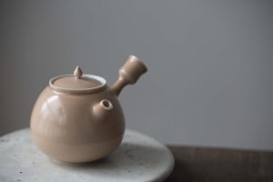 1001 Teapots - Teapot #343