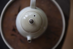 1001 Teapots - Teapot #344