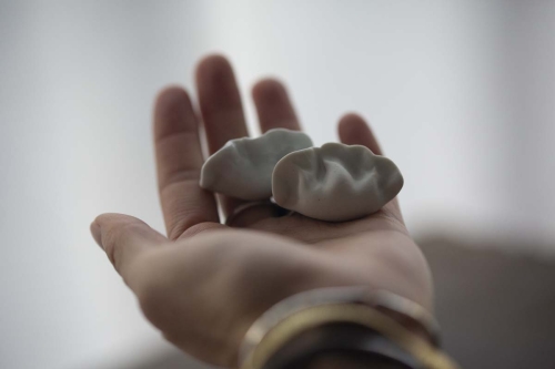 Dumpling Tea Pet - Image 9