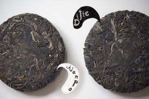 duo-dijie-nanpo-bingdao-raw-puer-tea-5