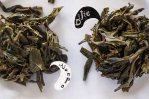 duo-dijie-nanpo-bingdao-raw-puer-tea-8