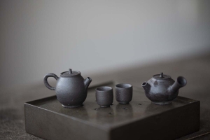 honey-i-shrunk-the-teapot-tea-pet-set-12