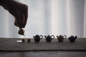 honey-i-shrunk-the-teapot-tea-pet-set-7