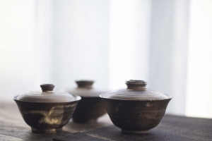 ore-gaiwan-wide-5