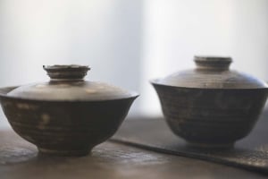 ore-gaiwan-wide-9