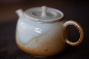 1001 Teapots - Teapot #353