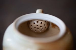 1001 Teapots - Teapot #353